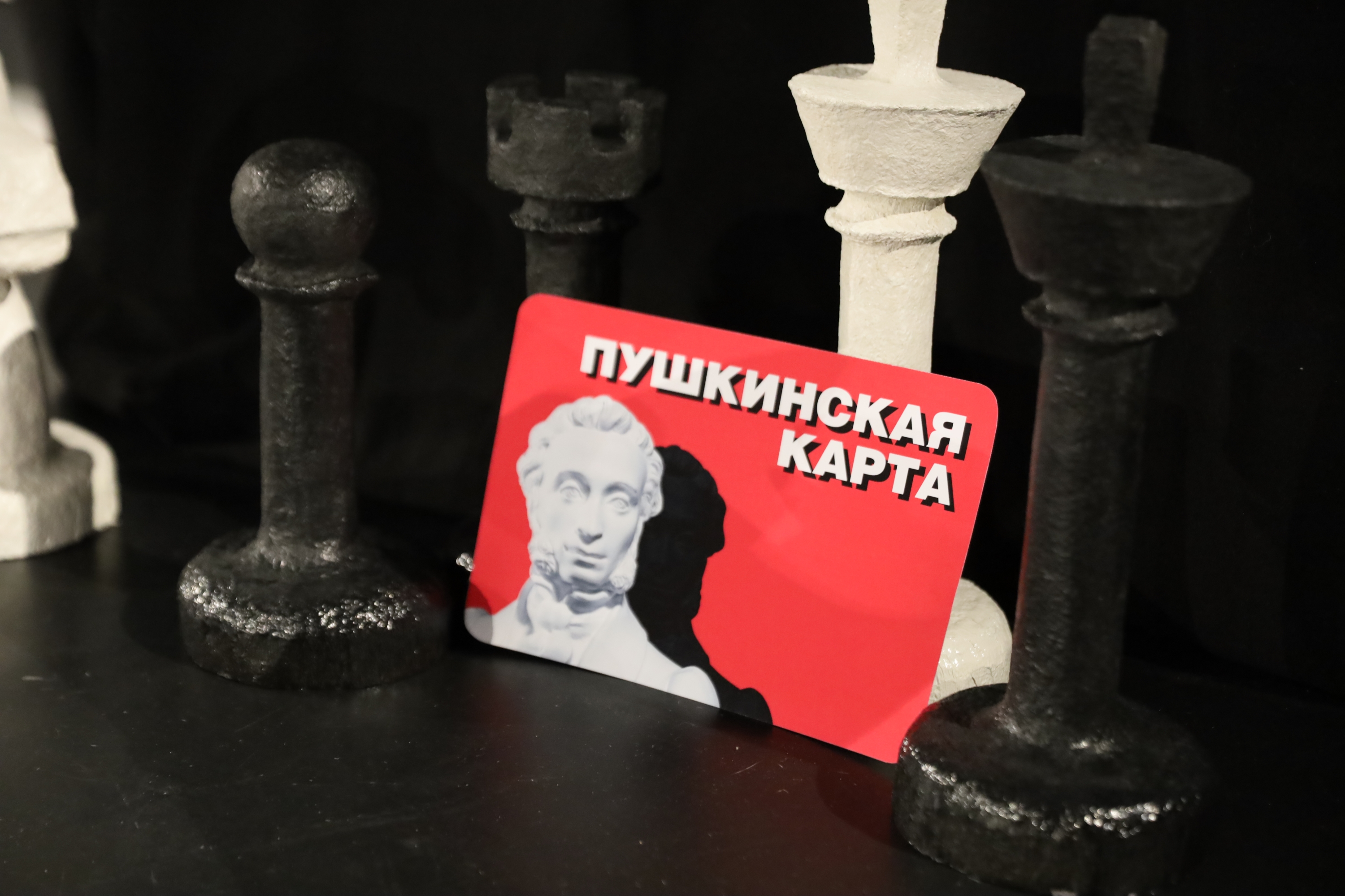 Пушкинская карта- это программа популяризации культурных мероприятий среди молодежи.